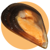 Cozza San Flaviano